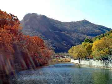 新澳天天开奖资料大全旅游团，最恶心的图片